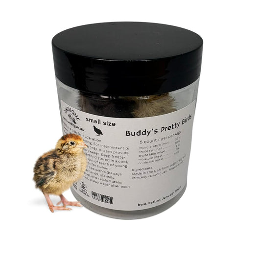 Cailles entières pour animaux carnivores - Friandises naturelles de qualité supérieure - Proies naturelles - Cailles lyophilisées pour préserver les nutriments et enzymes essentiels - Petit format - Lot de 5