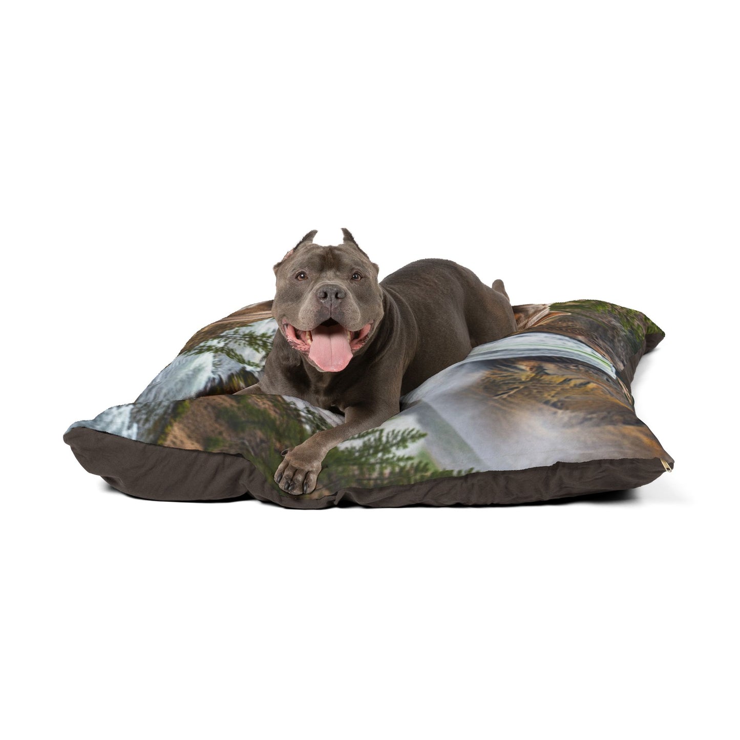 American Bully Pet Bed