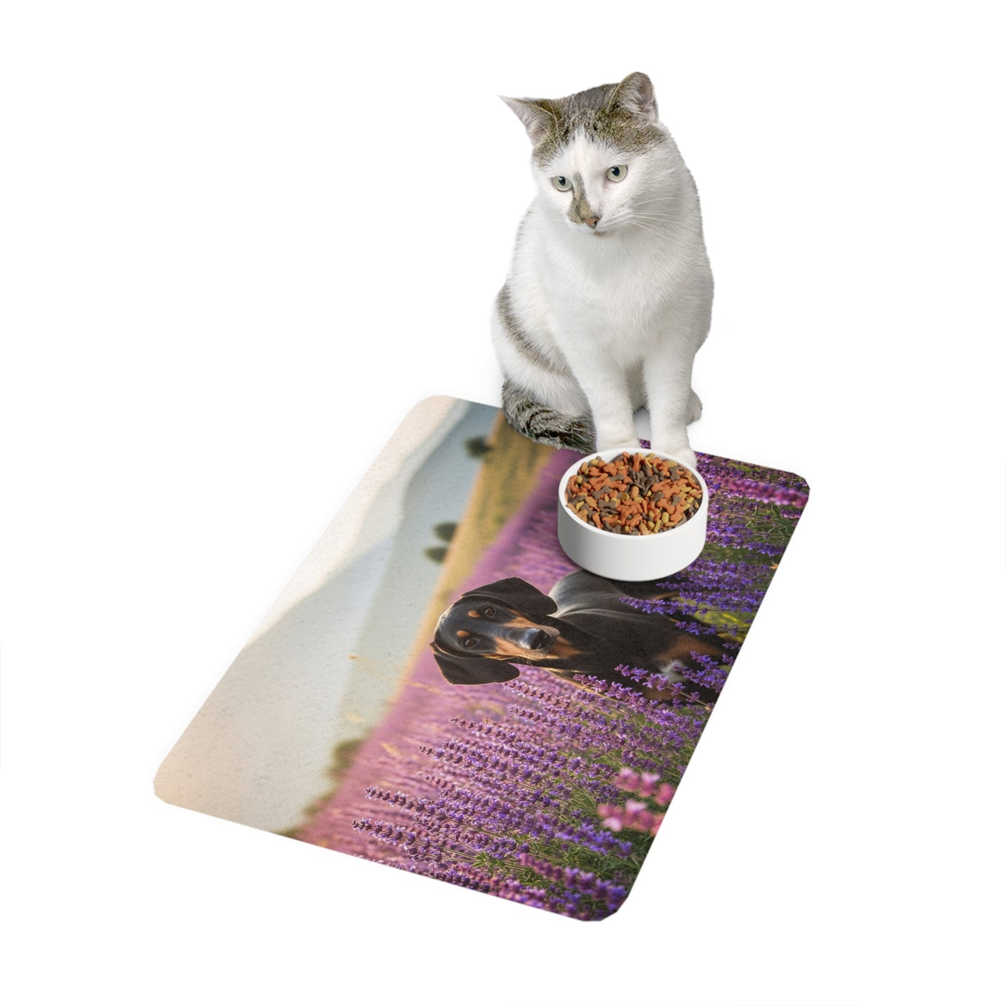 Pet Food Mat (12x18) - Transylvanian Hound