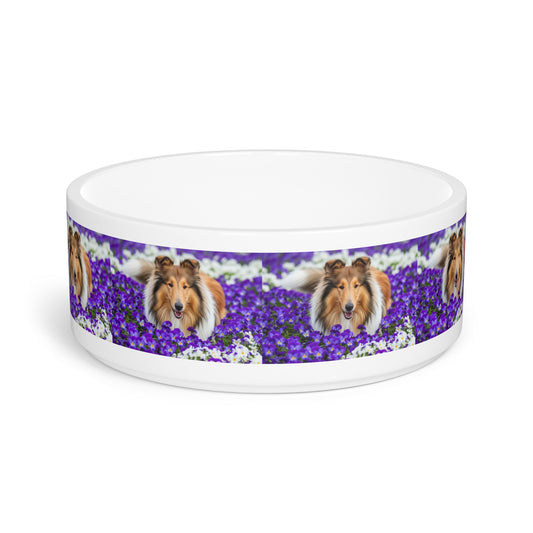Collie Pet Bowl