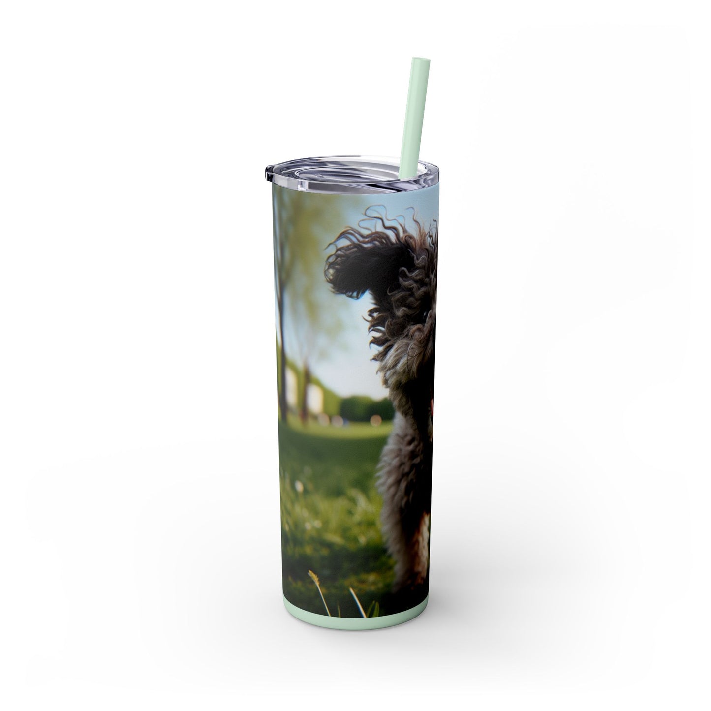 Pumi Skinny Tumbler with Straw, 20oz