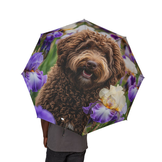 Barbet Semi-Automatic Foldable Umbrella