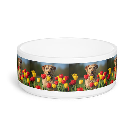 Pumi Pet Bowl