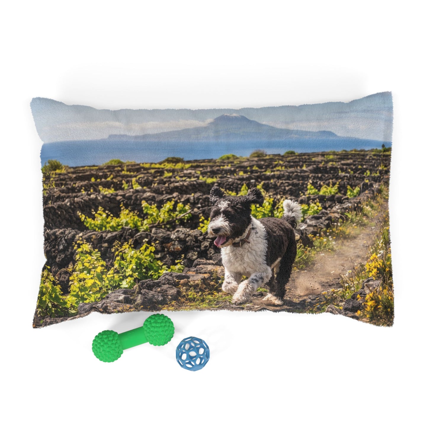 Portuguese Water Dog Pet Bed