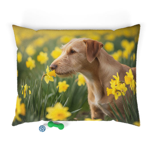 Portuguese Podengo Pequeno Pet Bed