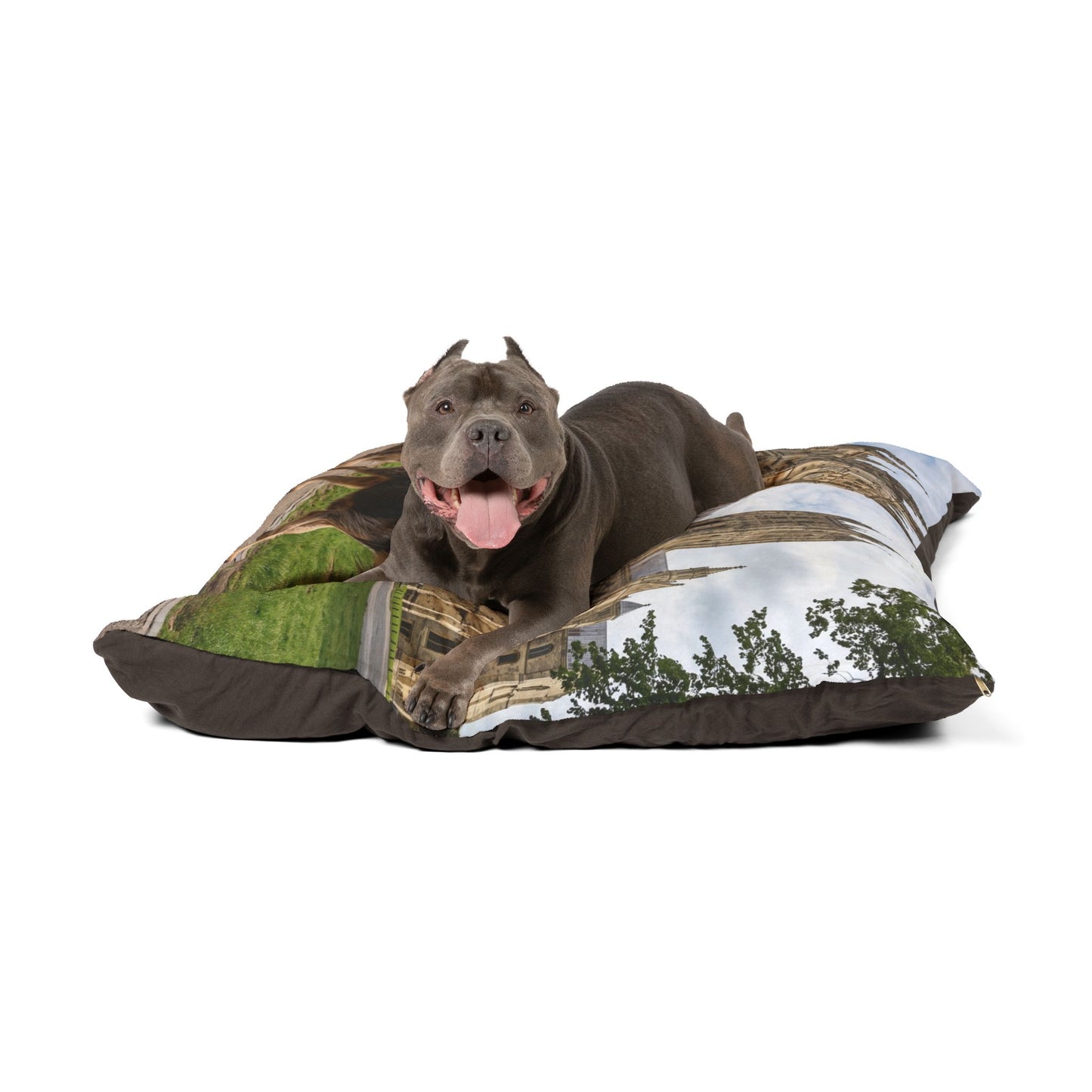 Otterhound Pet Bed