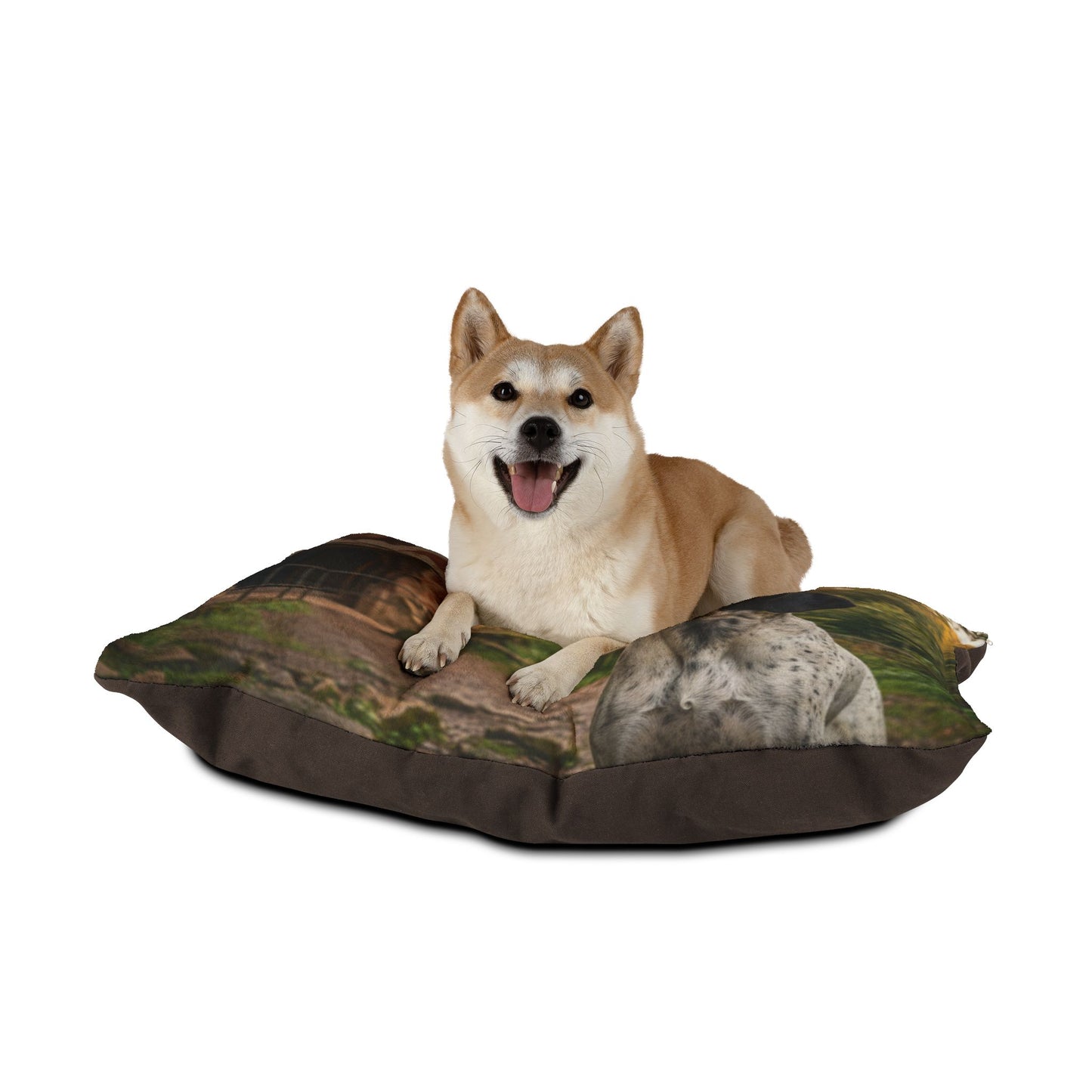 Braque d'Auvergne Pet Bed