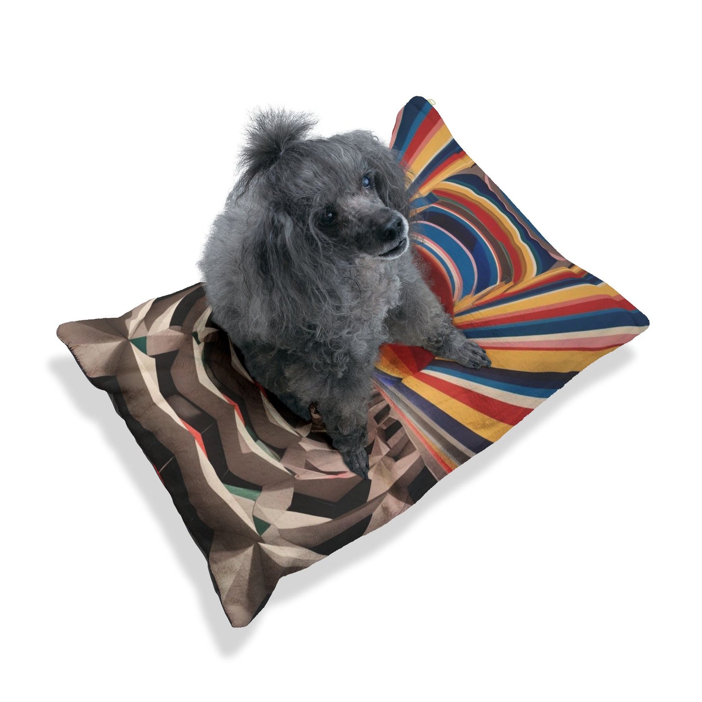 Optical Illusion Pet Bed