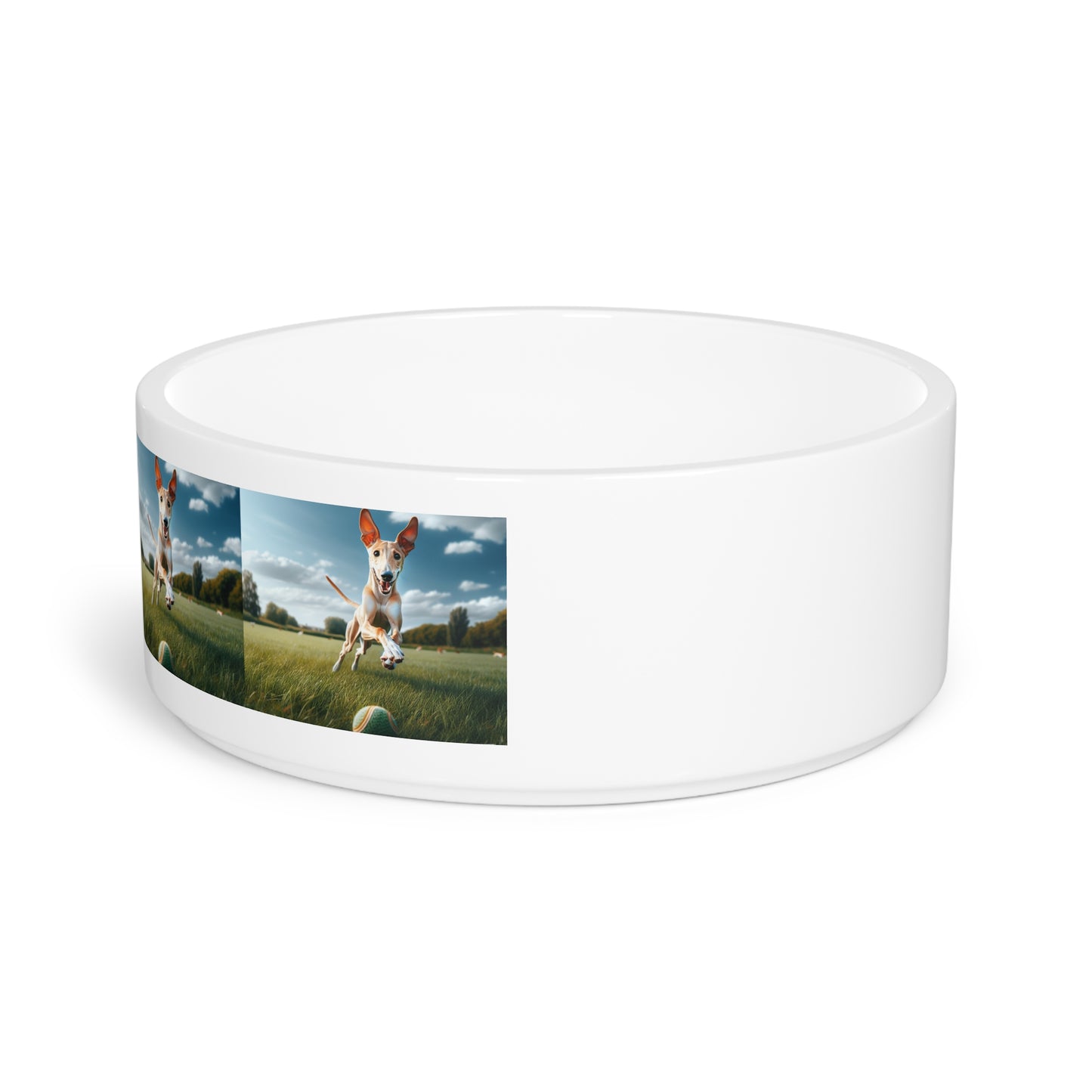 Ibizan Hound Pet Bowl