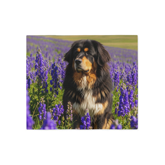 Himalayan Sheepdog Sweatshirt Blanket