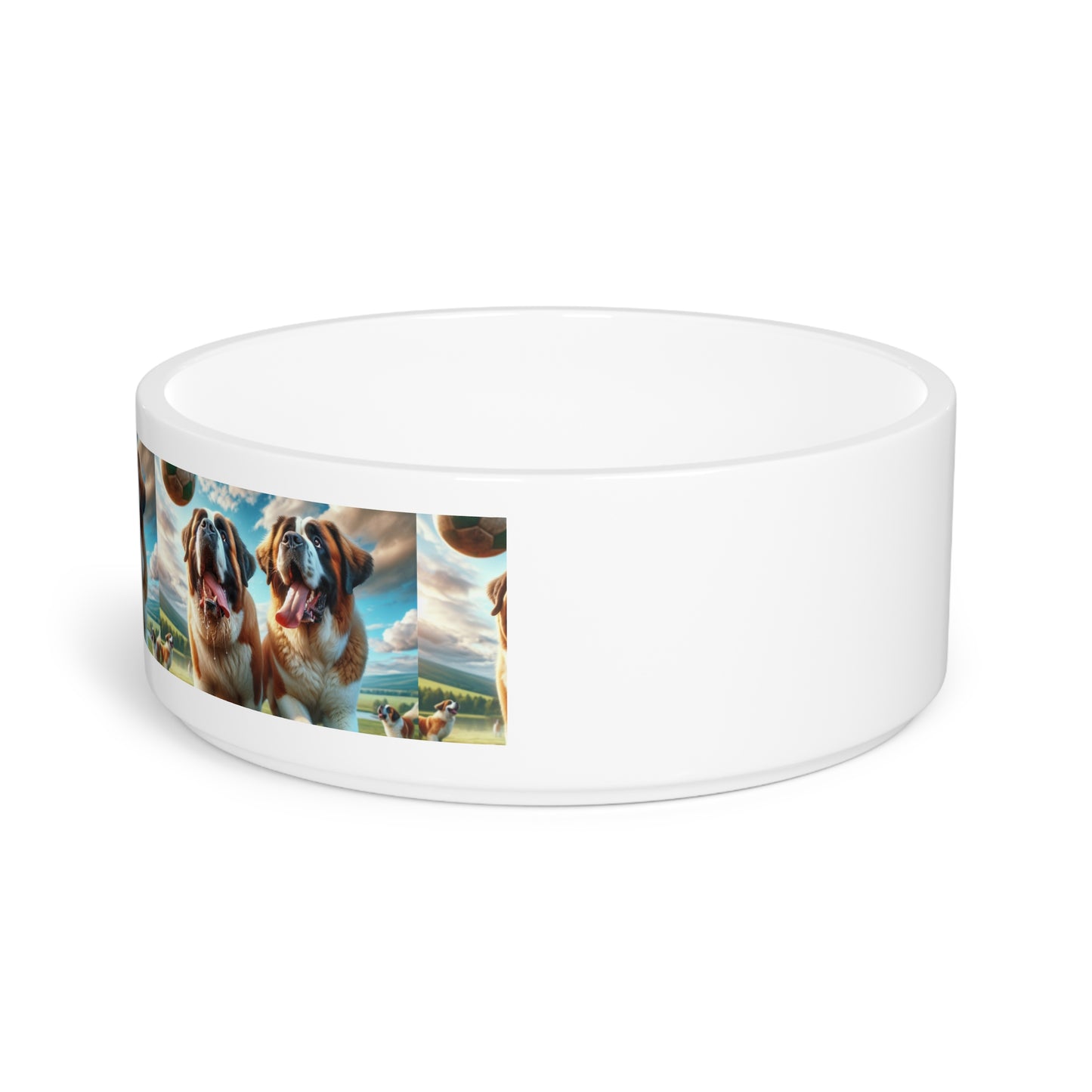 Saint Bernards Pet Bowl