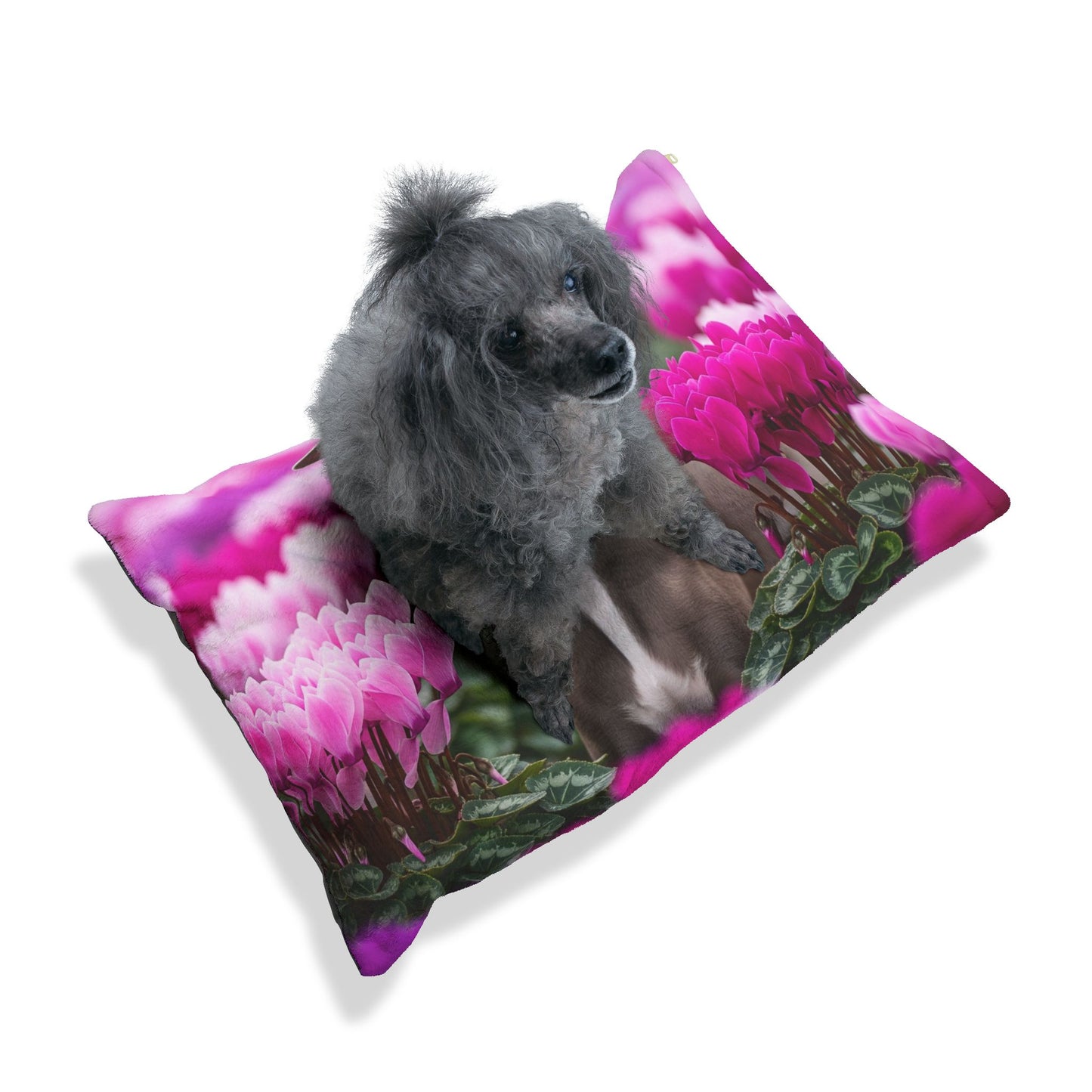 Italian Greyhound Pet Bed