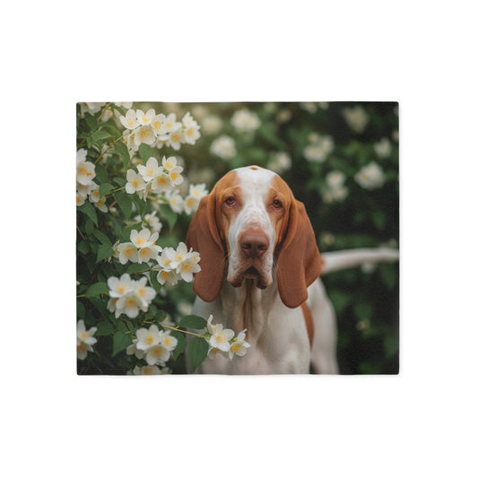 Bracco Italiano Sweatshirt Blanket