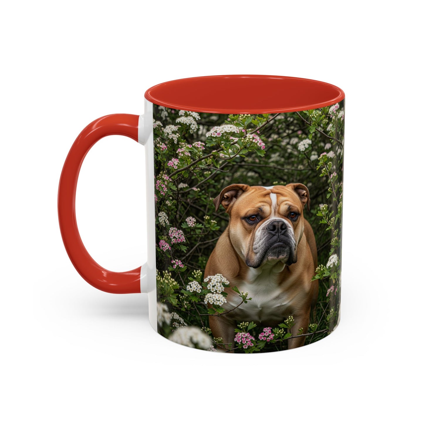 Mug à café Olde English Bulldogge Accent - Cadeau idéal pour les amoureux des chiens