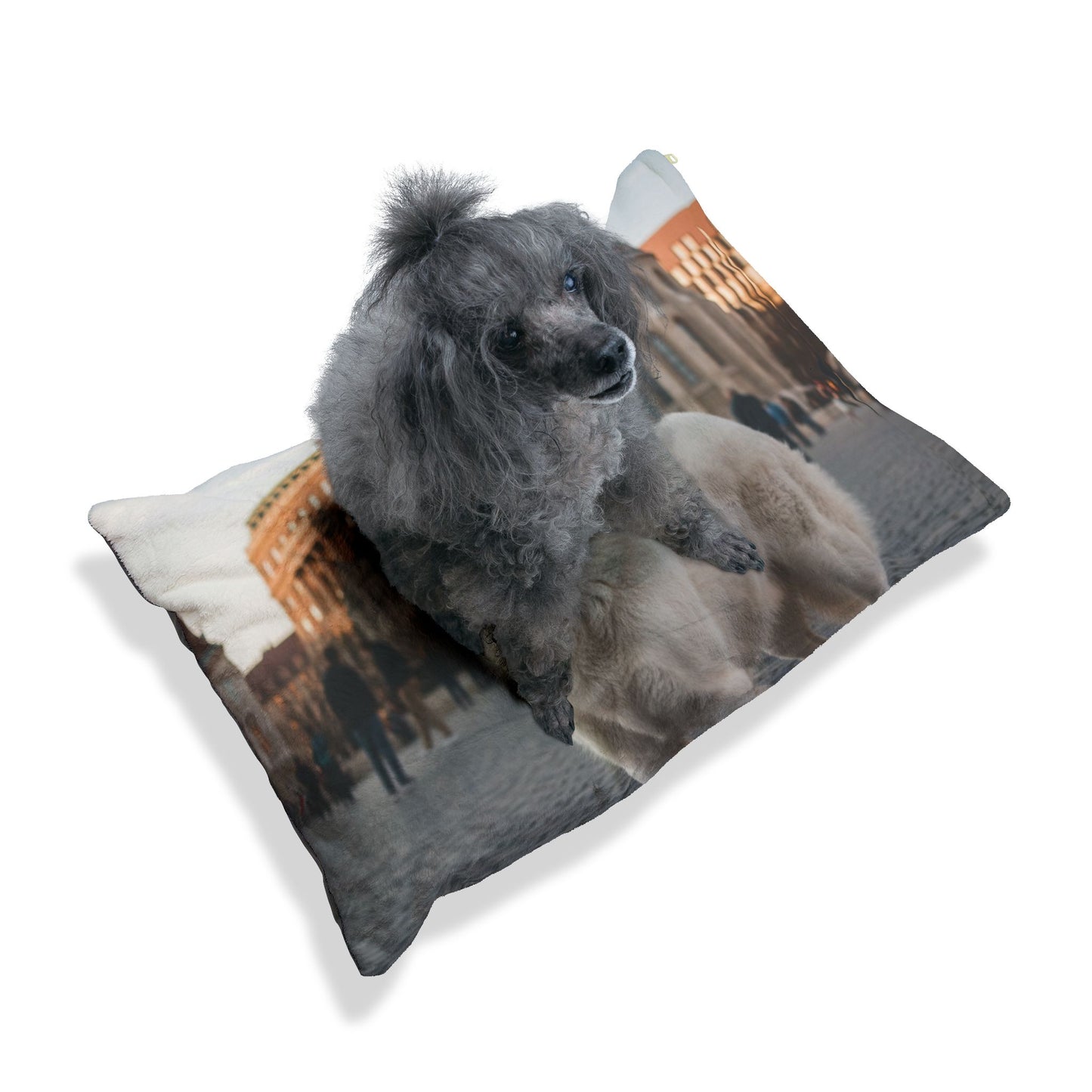 Hungarian Kuvasz Pet Bed