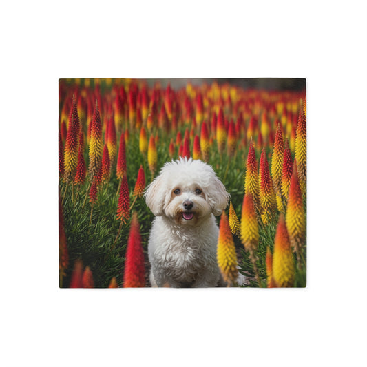 Bichonpoo Sweatshirt Blanket