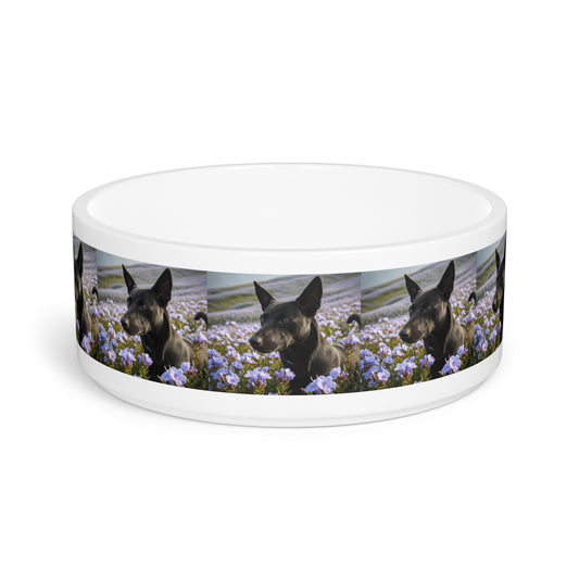 Kanni Pet Bowl