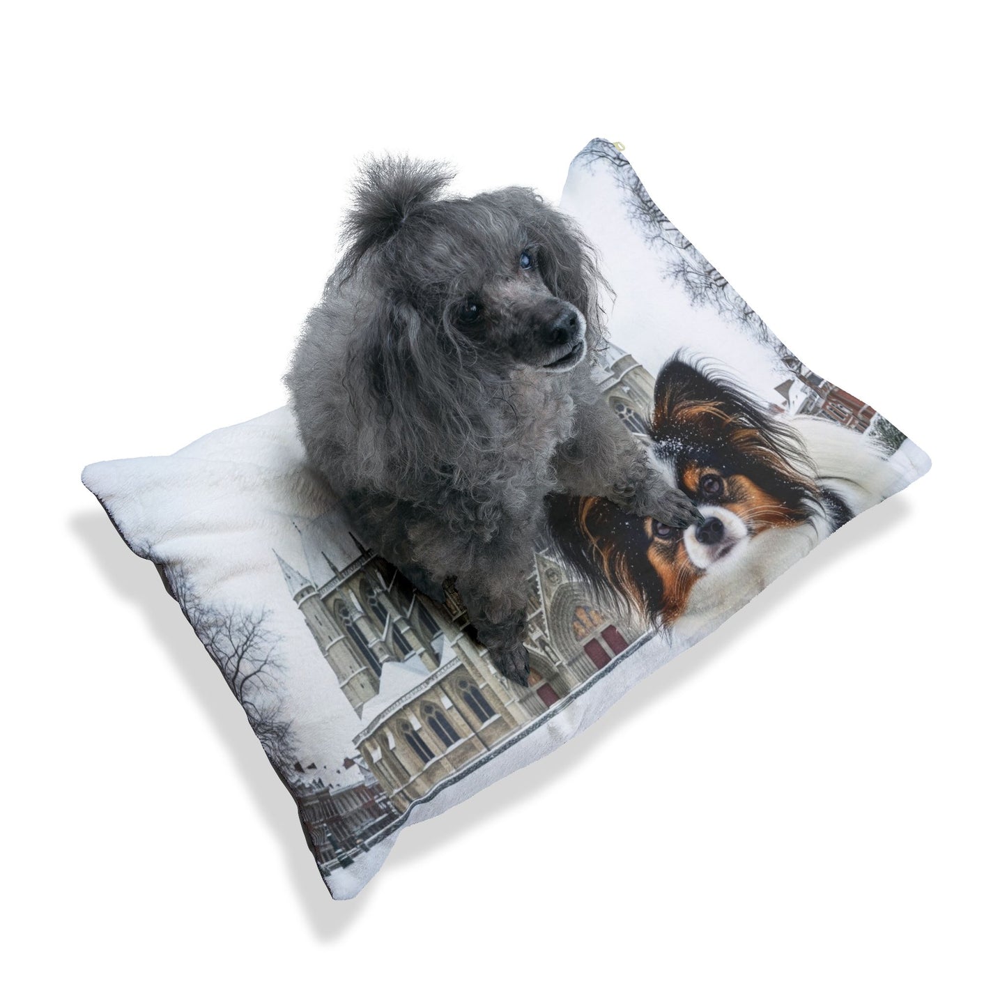 Papillon Pet Bed