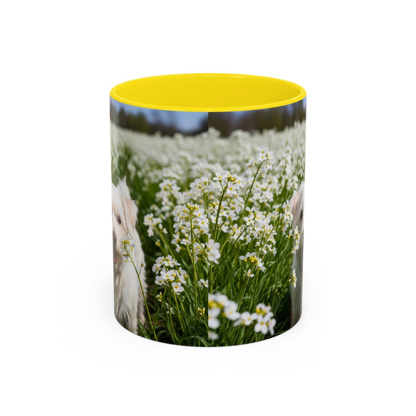Taza de café con acento Kromfohrlander: el regalo perfecto para los amantes de los perros