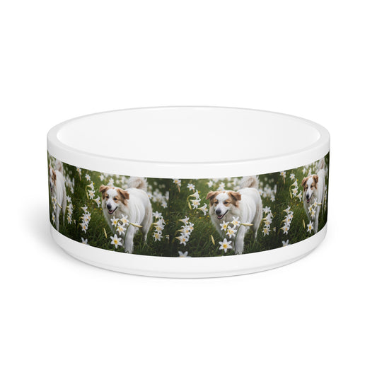 Pyrenean Shepherd Pet Bowl