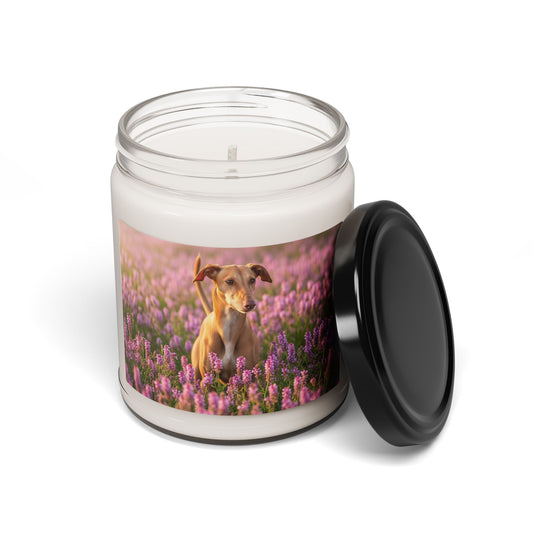 Cirneco dell'Etna - Bougie de soja parfumée, 9oz 
