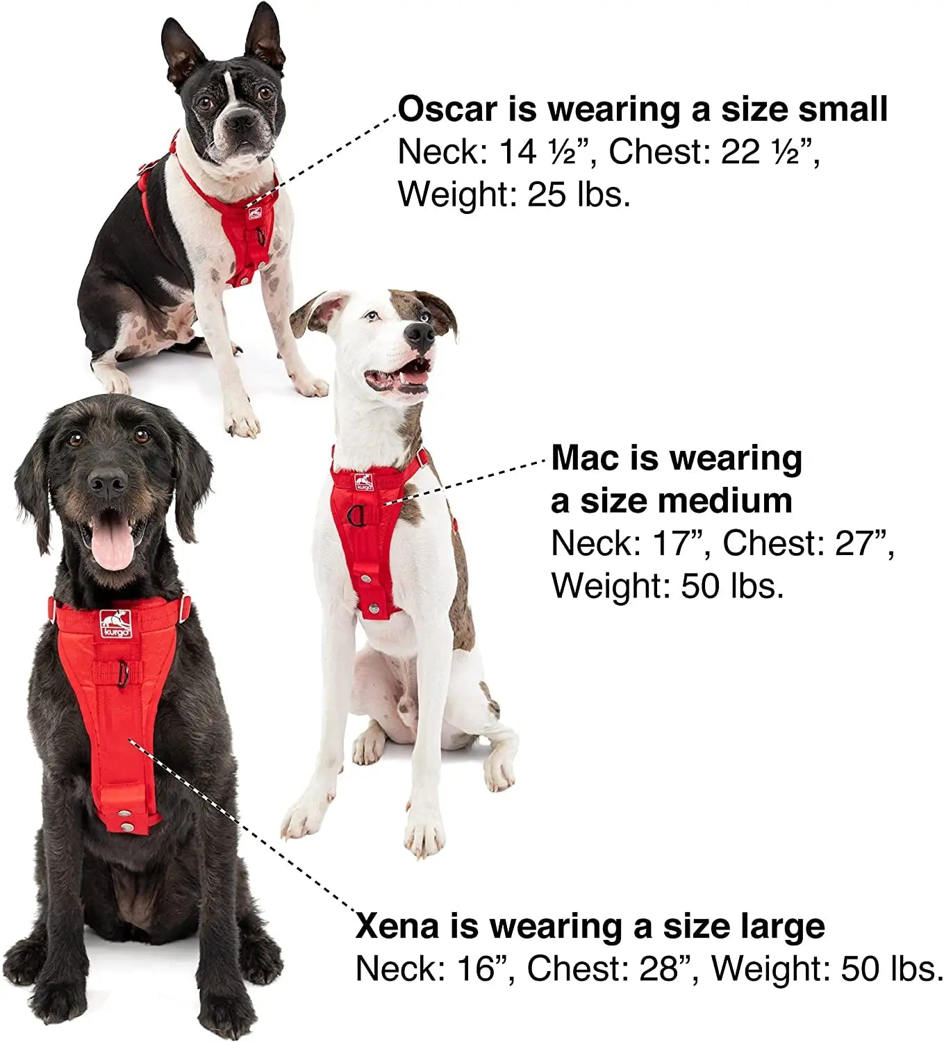 Harnais de voiture pour chien Tru-Fit haute résistance - Testé en cas de collision pour une sécurité optimale - Plaque pectorale large - Boucles imbriquées en acier - Comprend une attache pour ceinture de sécurité - Rouge - Taille L