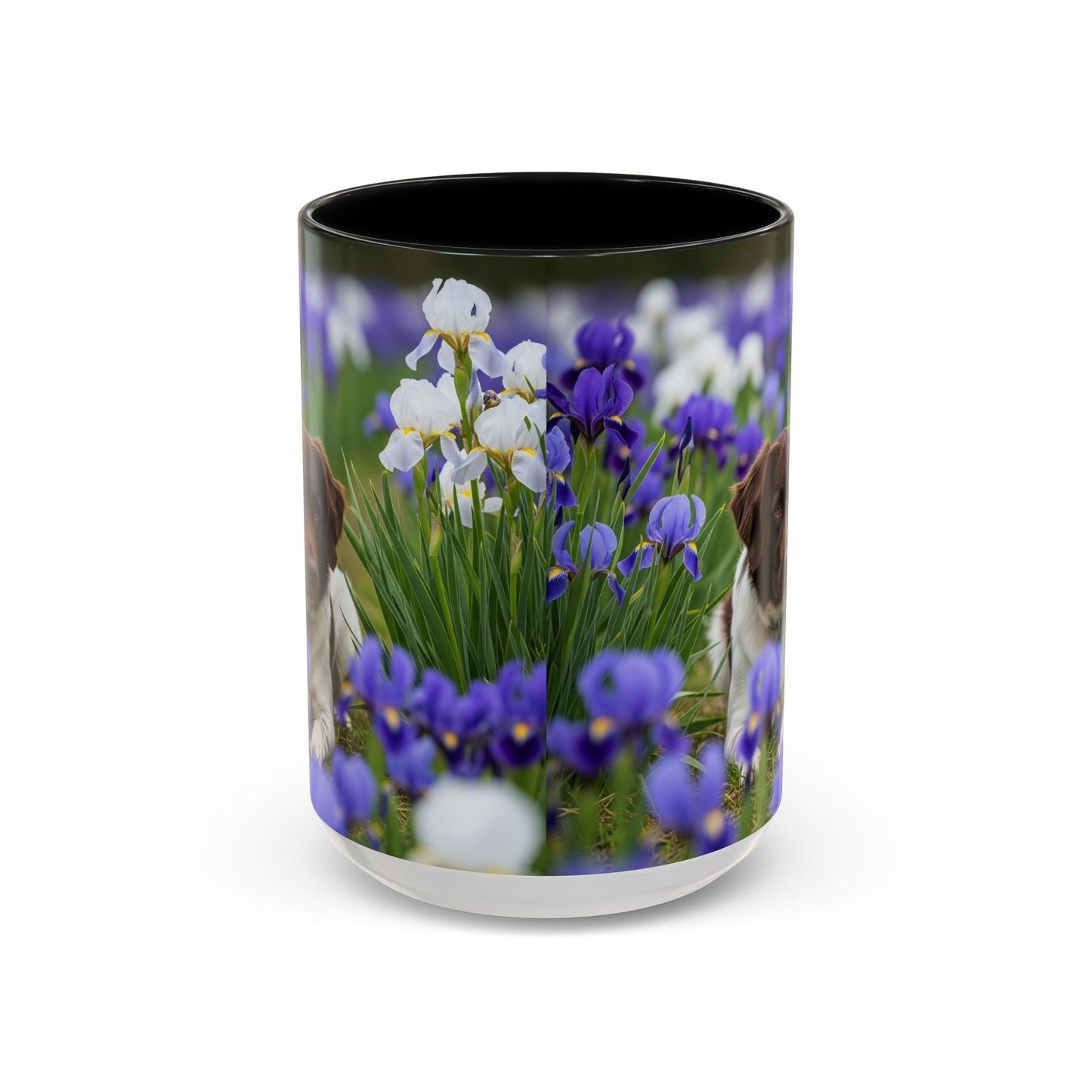 Mug Stabyhouns Accent - Cadeau idéal pour les amoureux des chiens
