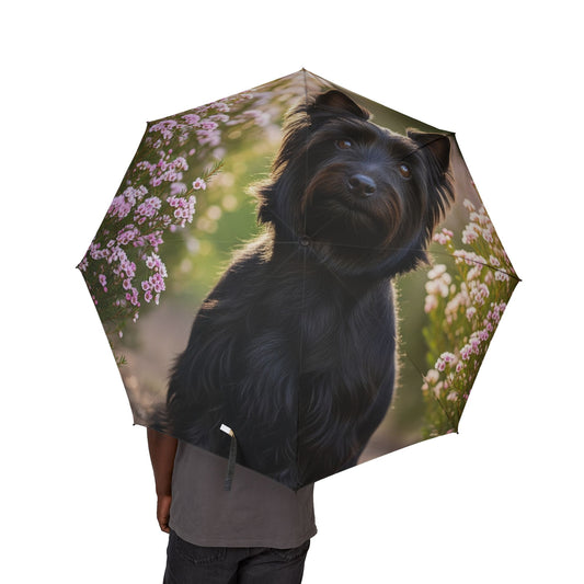 Australian Silky Terrier Semi-Automatic Foldable Umbrella