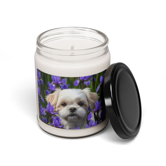 Shihchon- Scented Soy Candle, 9oz
