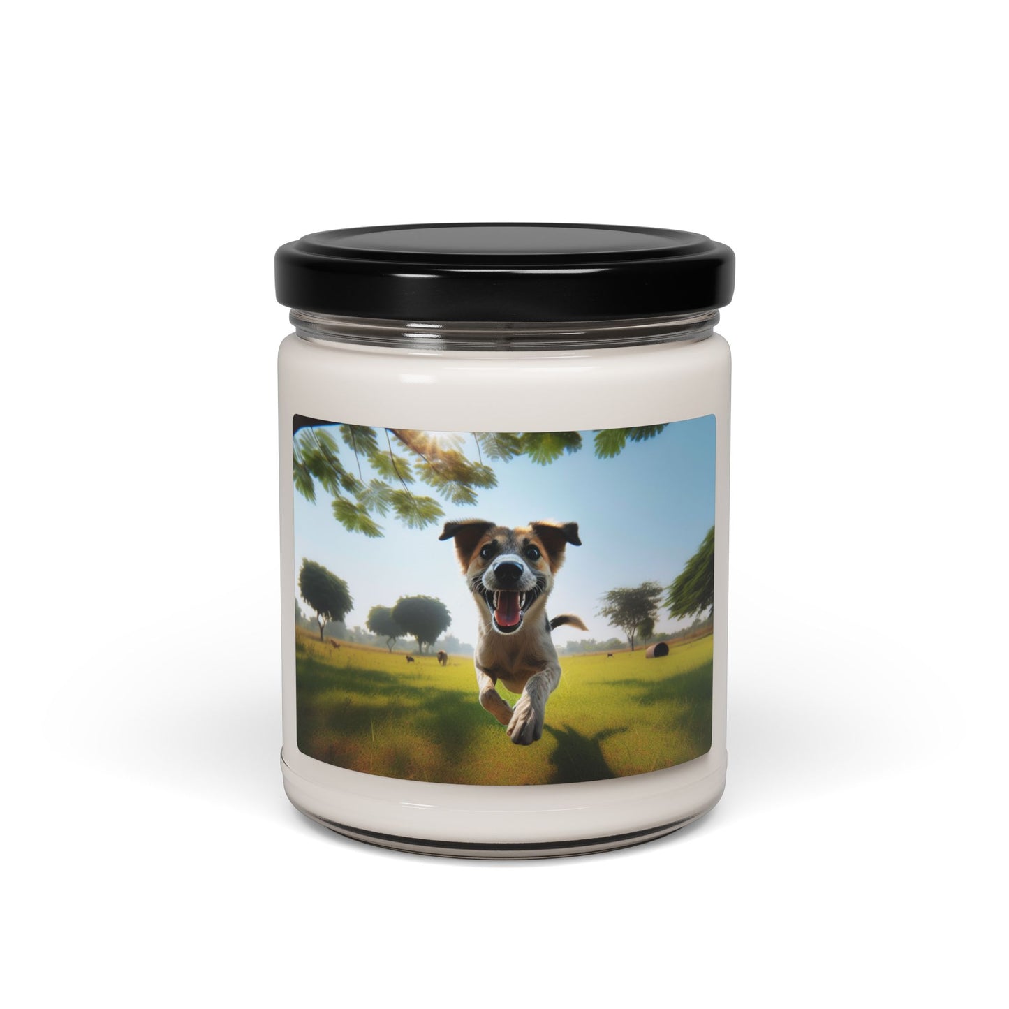 Indian Pariah Dog- Scented Soy Candle, 9oz