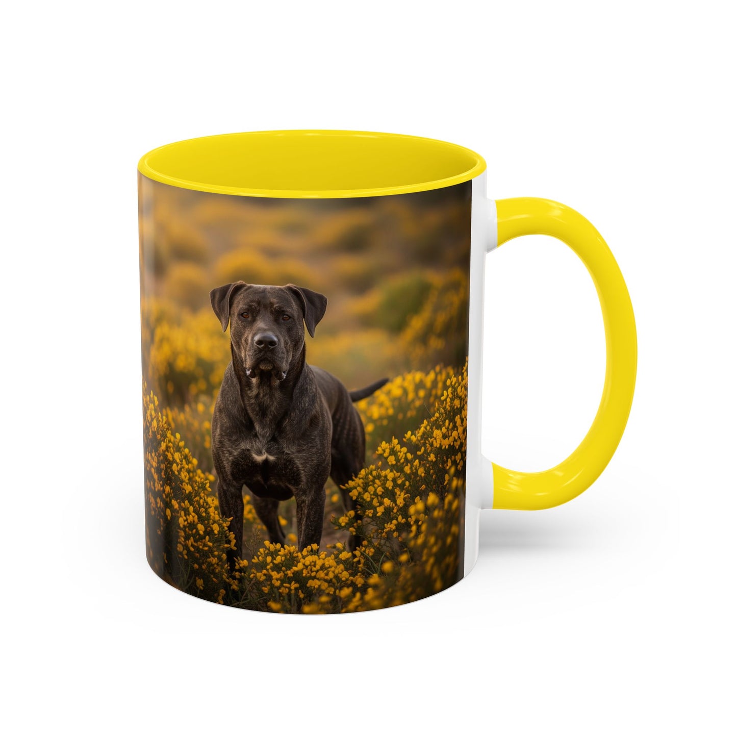 Mug Rafeiro do Alentejo Accent Coffee - Cadeau idéal pour les amoureux des chiens