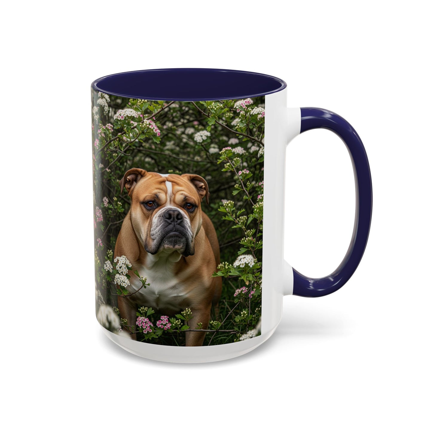 Mug à café Olde English Bulldogge Accent - Cadeau idéal pour les amoureux des chiens