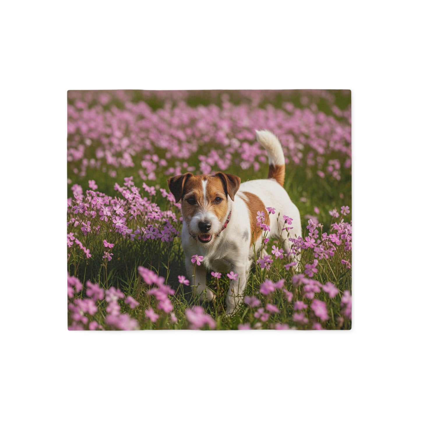 Parson Russell Terrier Sweatshirt Blanket