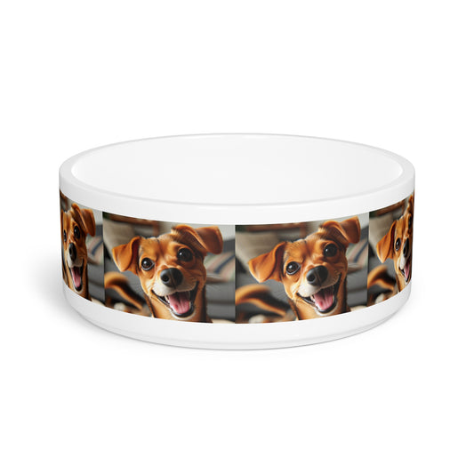 Chiweenie Pet Bowl
