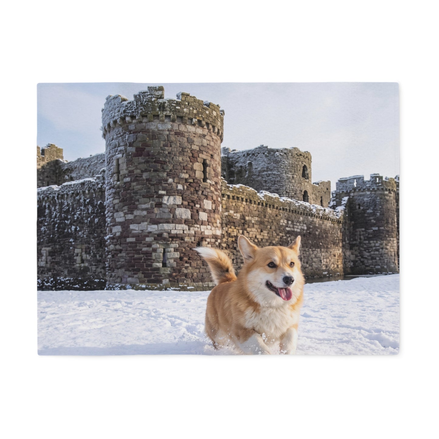 Welsh Corgi Blanket