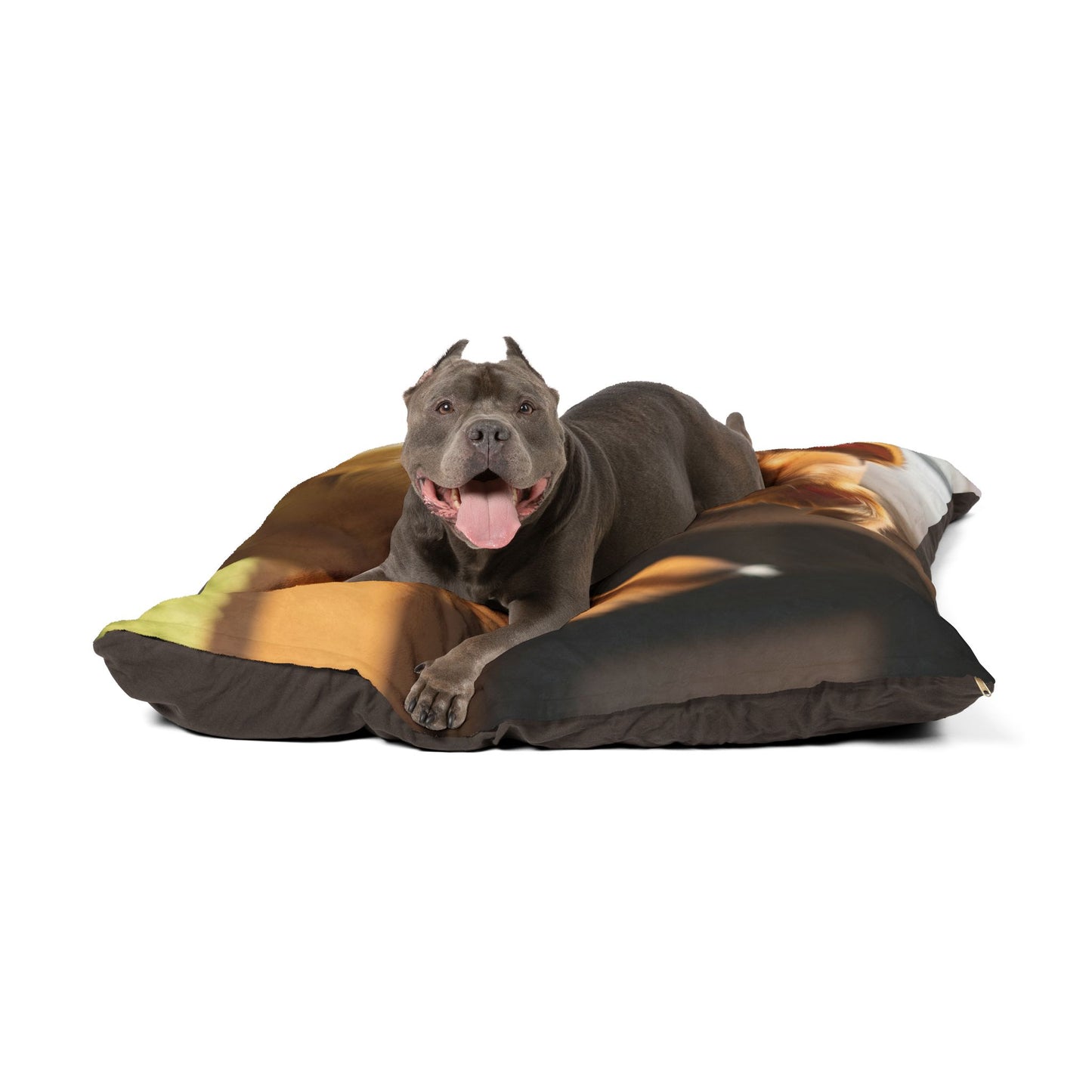 Toi Leo Pet Bed