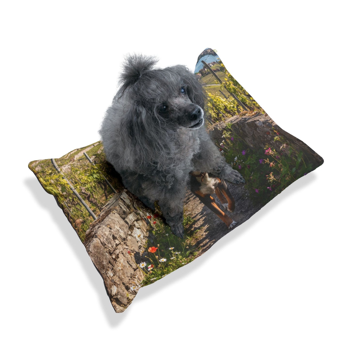 Greater Swiss Mountain Dog Pet Bed