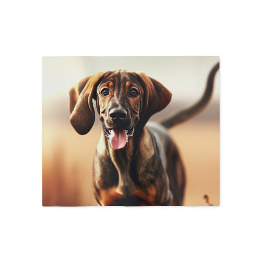 Plott Hound Sweatshirt Blanket