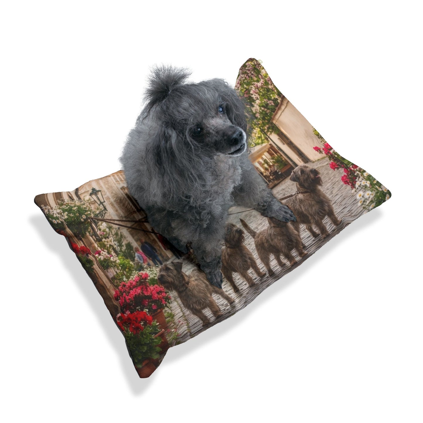 Cesky Terrier Pet Bed