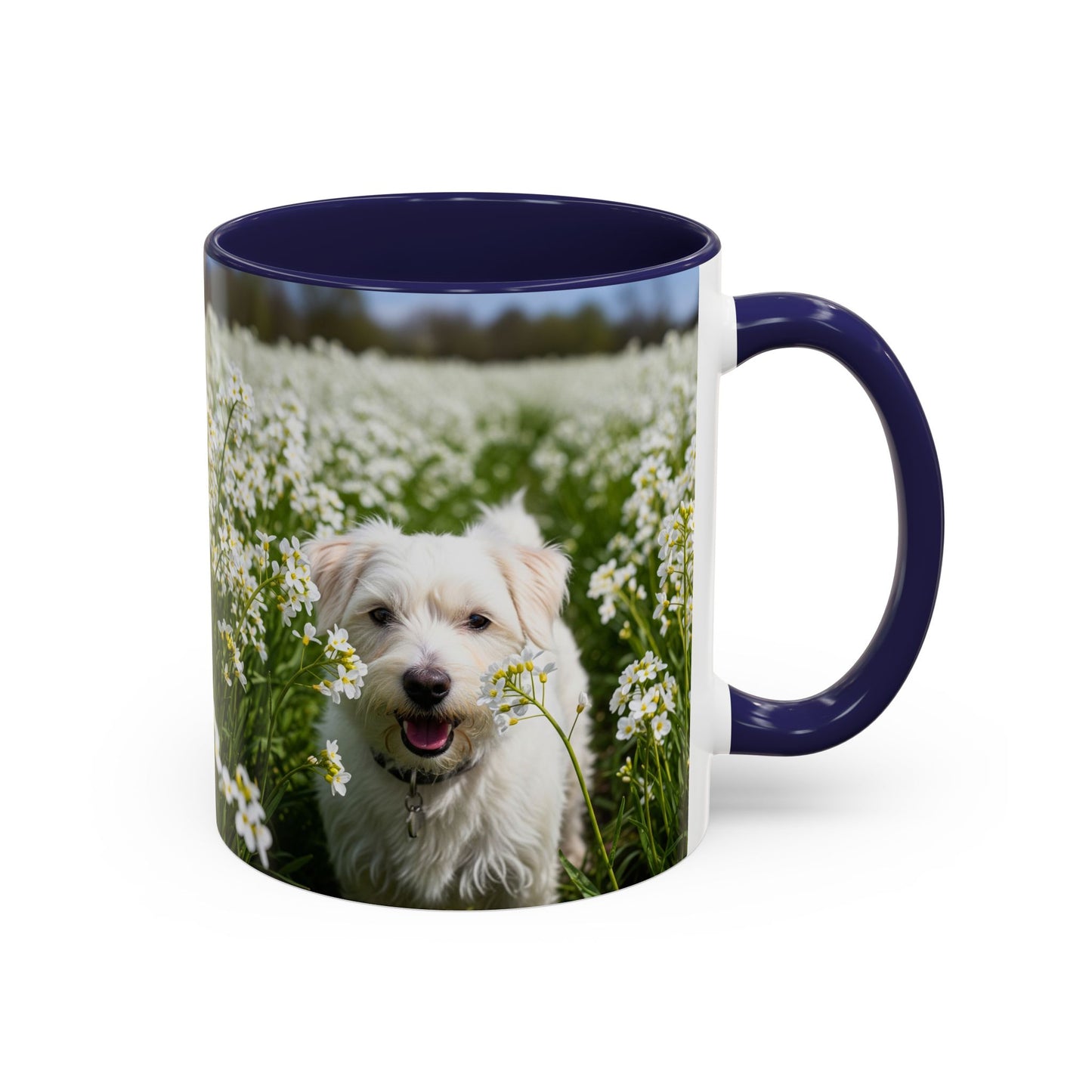 Taza de café con acento Kromfohrlander: el regalo perfecto para los amantes de los perros