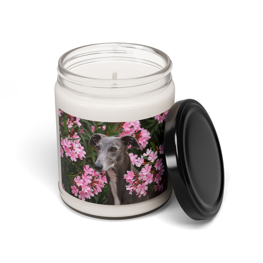 Greyhound- Scented Soy Candle, 9oz