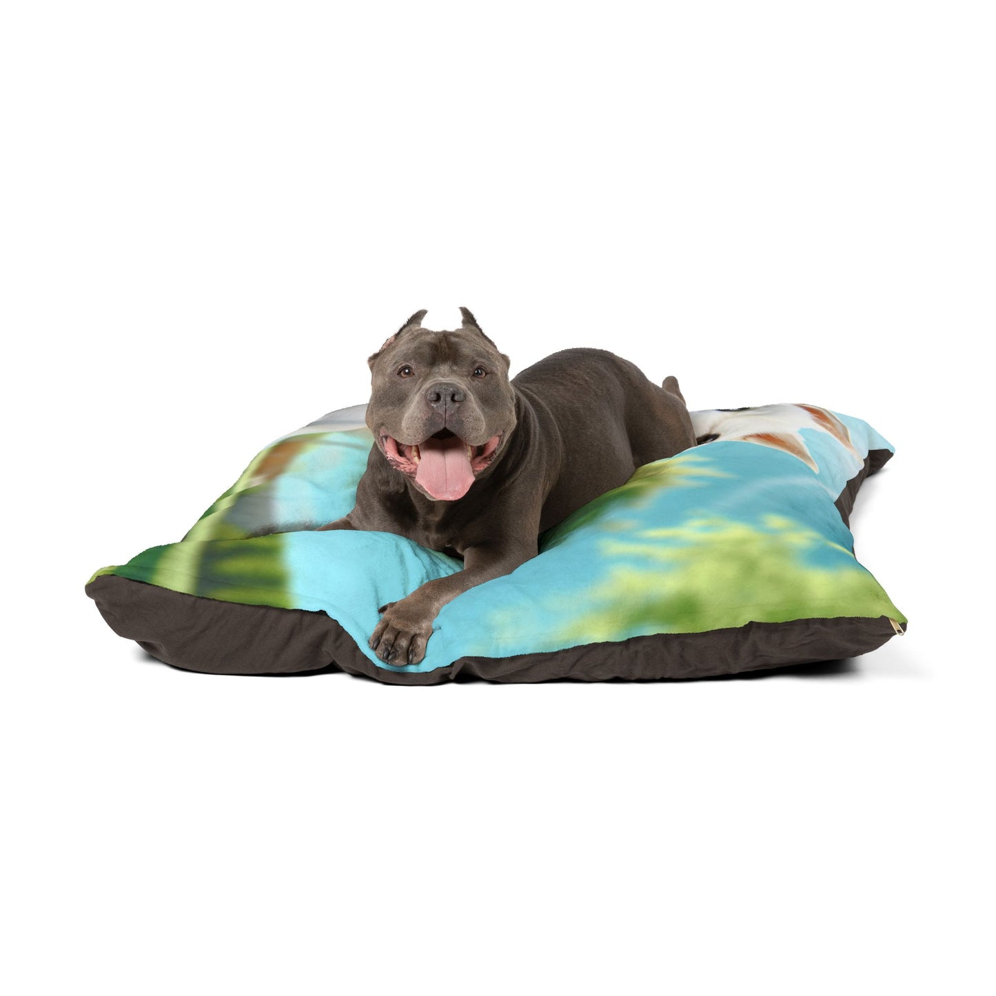 Kishu Ken Pet Bed