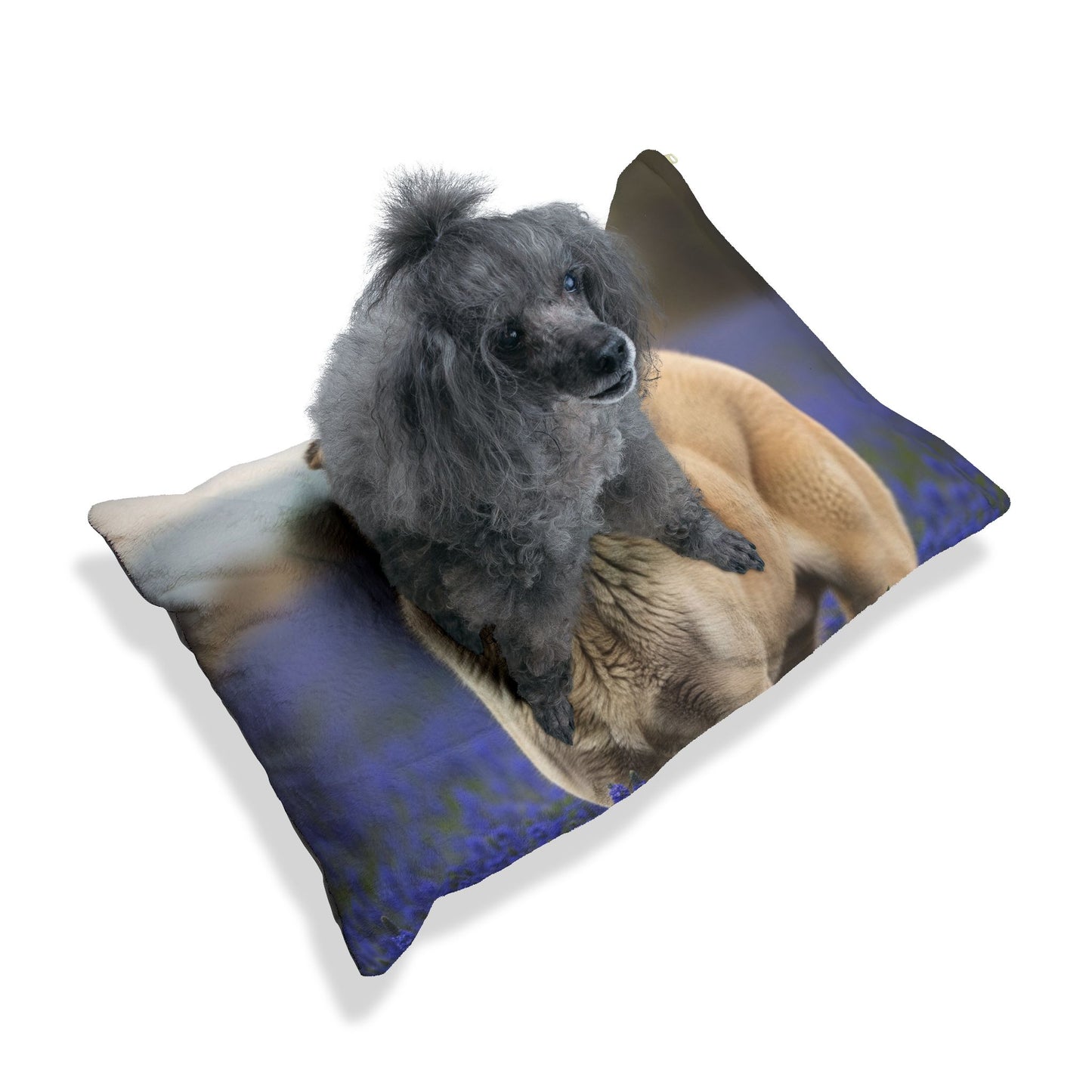 Kangal Shepherd Dog Pet Bed