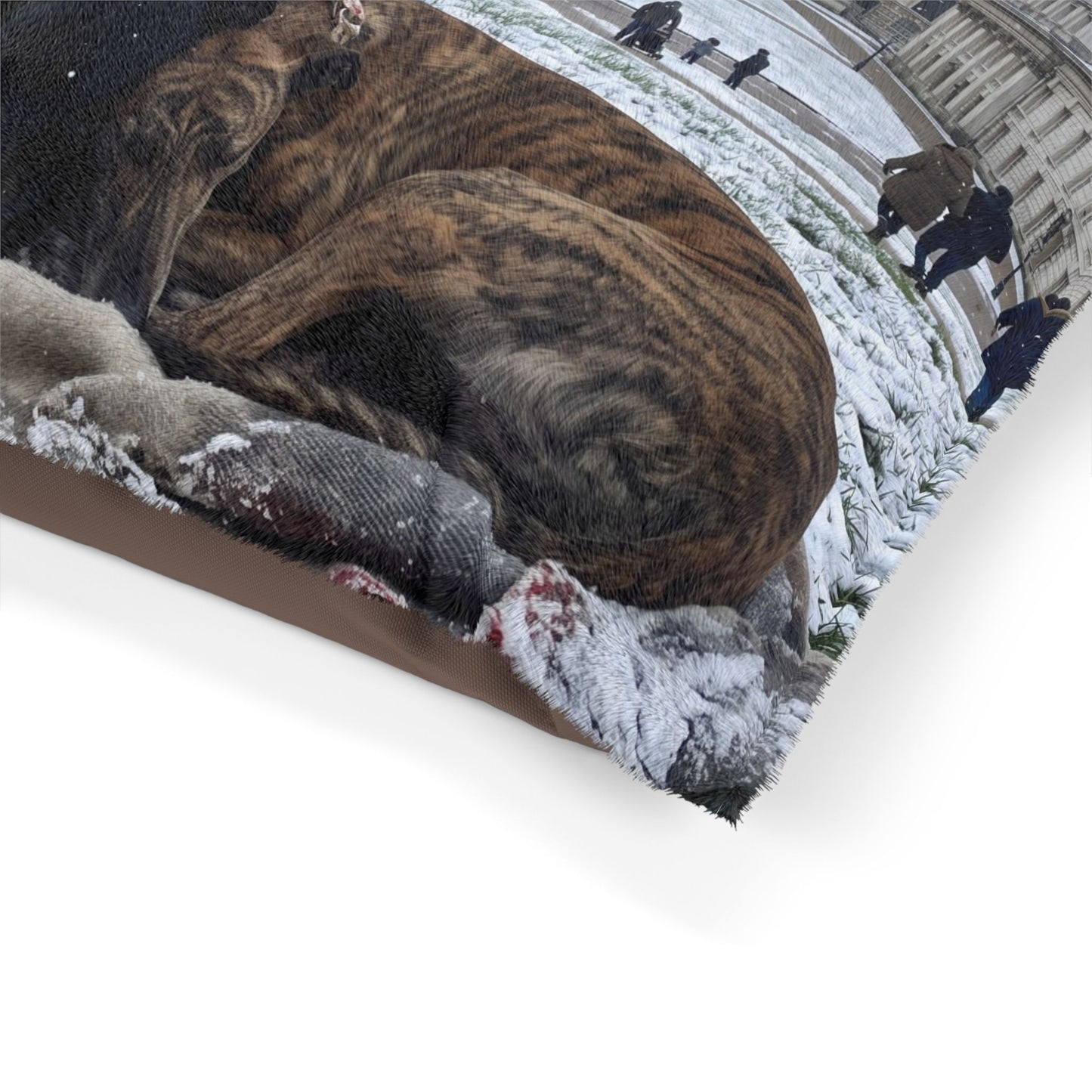 Greyhound Pet Bed