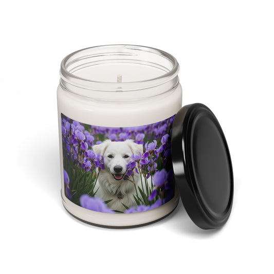 Croatian Sheepdog- Scented Soy Candle, 9oz