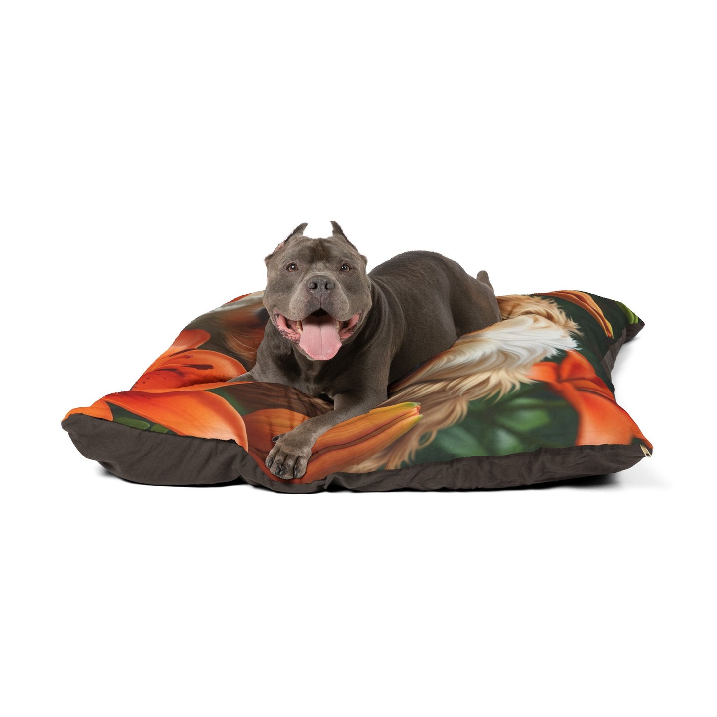 Lit pour animaux Schnoodle