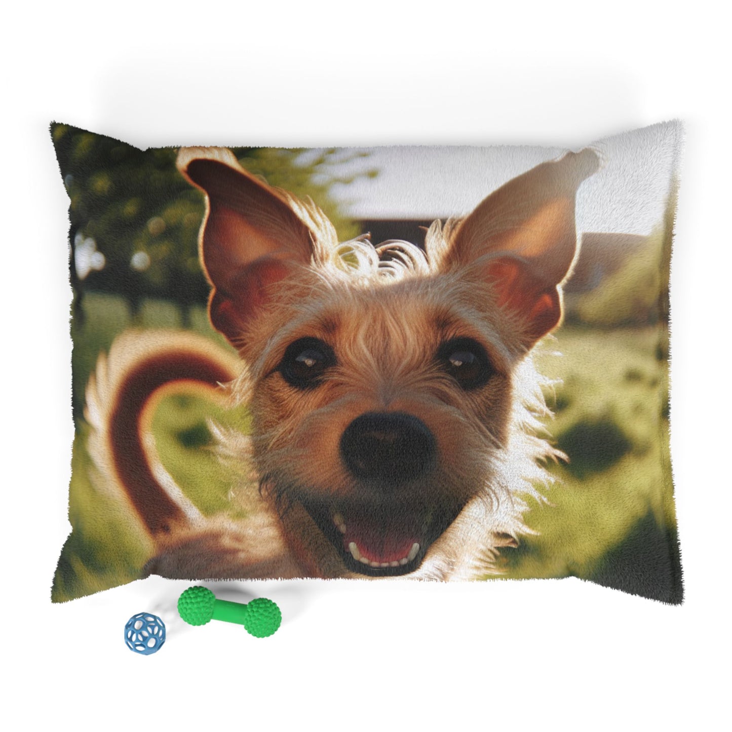 Portuguese Podengo Pet Bed