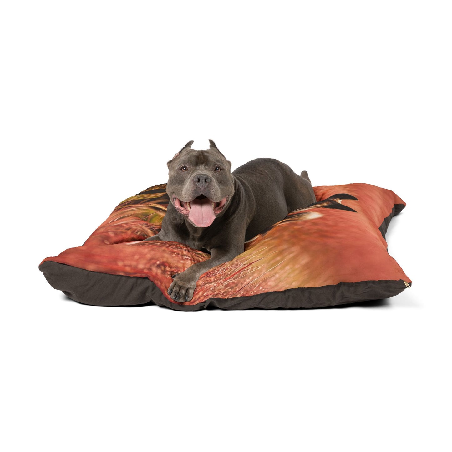 Kai Ken Pet Bed