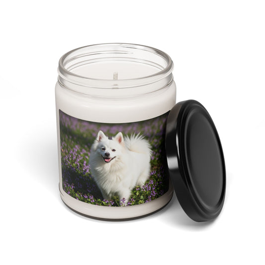 German Spitz- Scented Soy Candle, 9oz