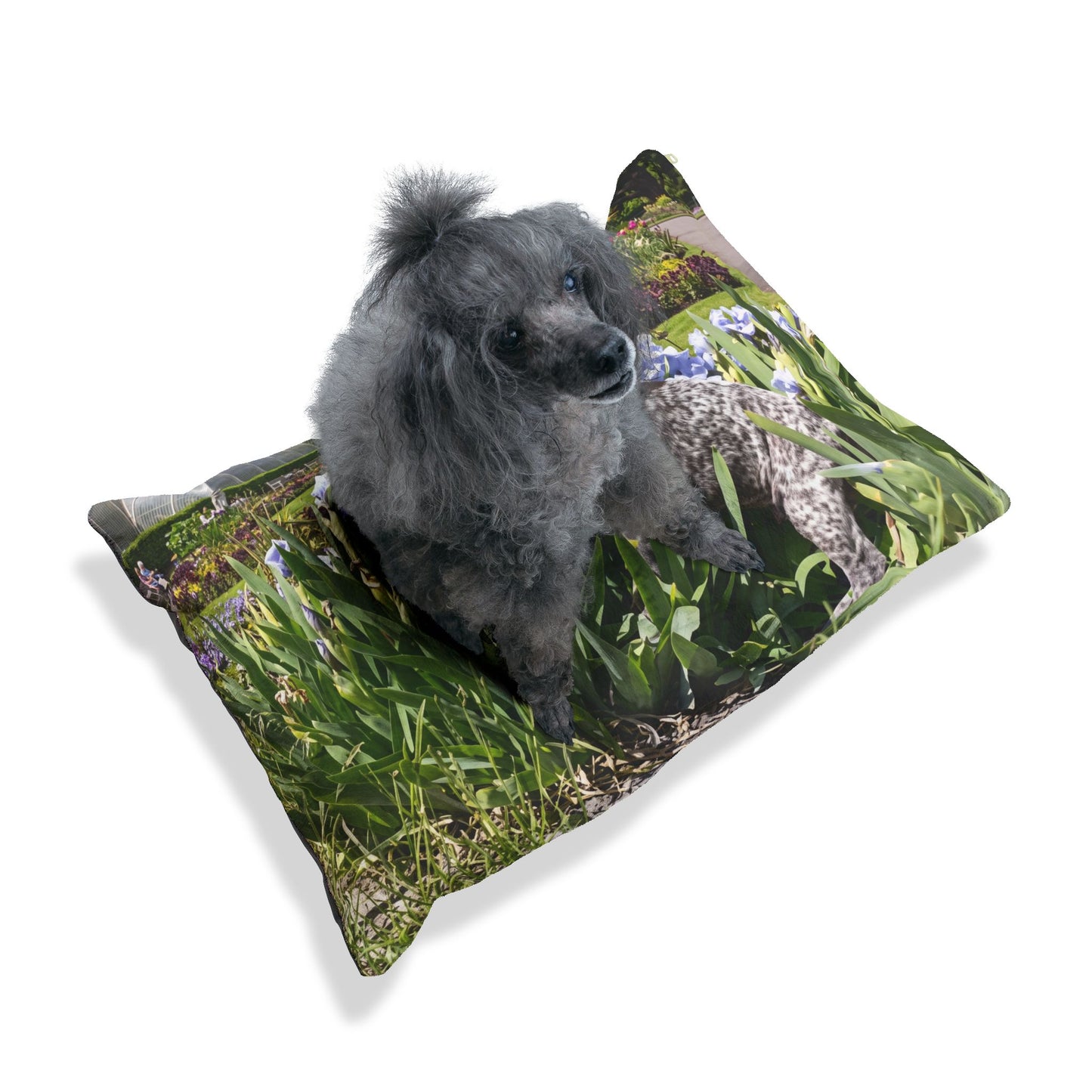 Pointer Dog Pet Bed